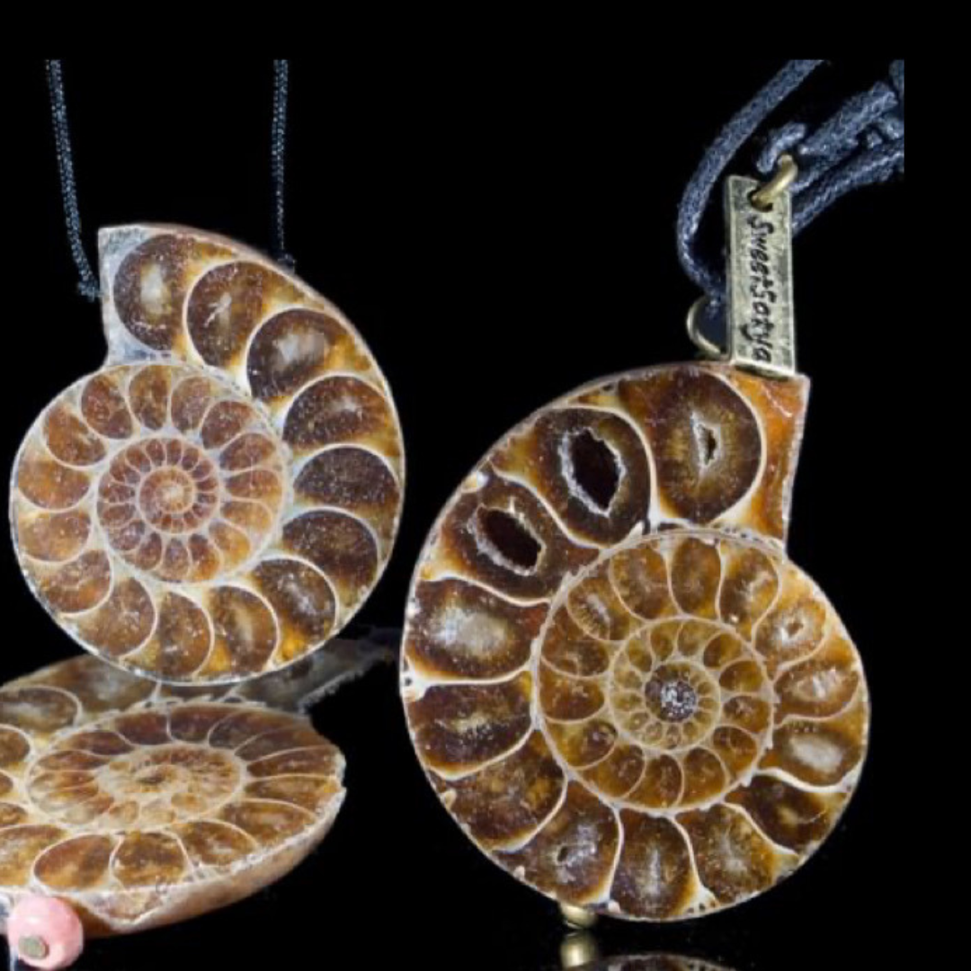 Ammonite Fossil Jewelry-SweetSatya 