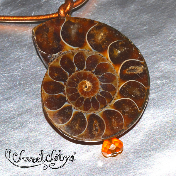 Ammonite Fossil Jewelry SweetSatya